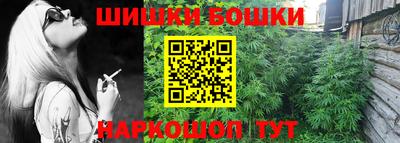 МДПВ Пушкино