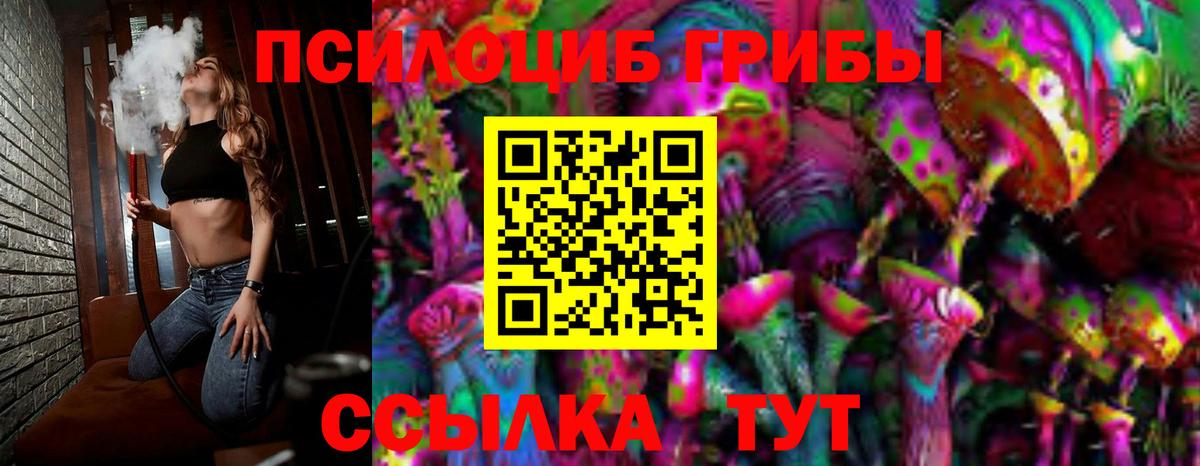 Пугачёв  Галлюциногенные грибы MAGIC MUSHROOMS  Вход с VPN 